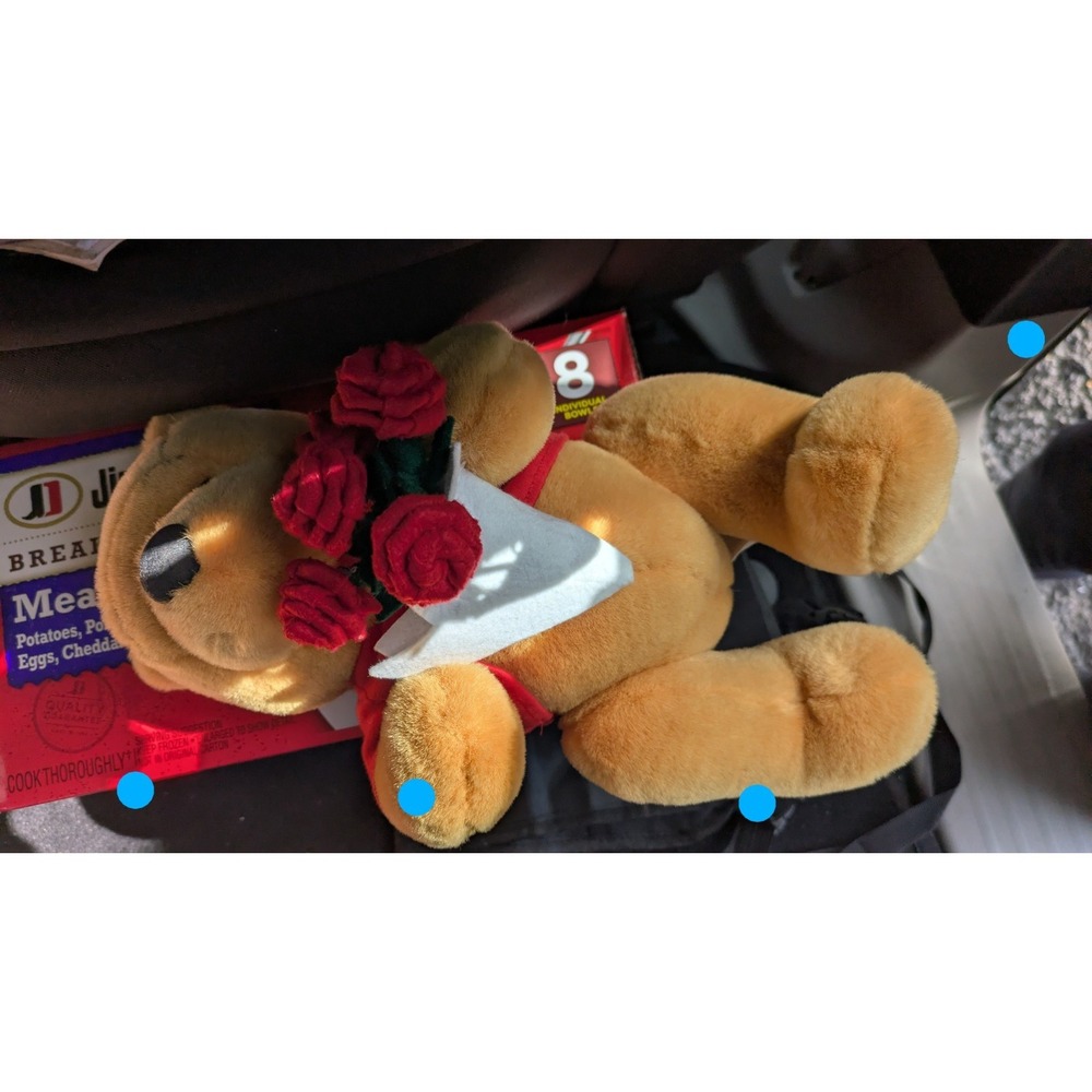 Disney‎ Winnie The Pooh With Roses Stuffed Plush - Picture 4 of 4